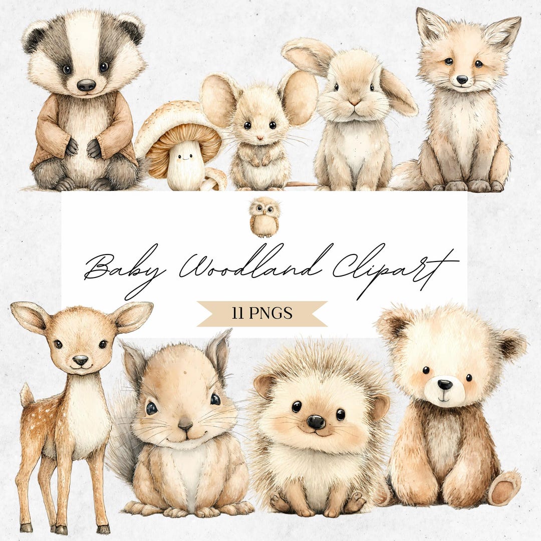 Woodland Animals Clipart - Watercolor Forest Baby Shower - Nursery PNG ...