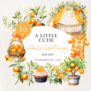 Clipart "Una piccola bellezza sta arrivando", Baby shower con agrumi acquerellati, PNG di un'arancia carina, Adorabile arte di invito per le celebrazioni