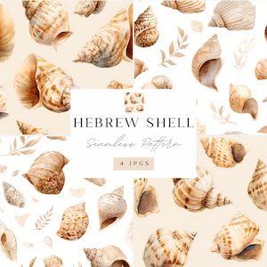 Hebrew Shell Seamless Pattern - Beige Ocean Beach JPG - CLP05BAD