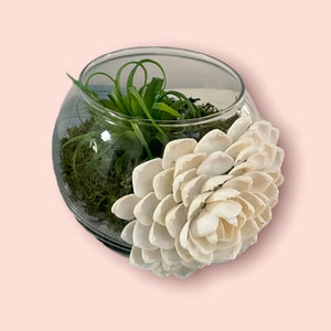 Shell Planter Vase,cacti Planter,Coastal Decor,BeachDecor,gift Beach,