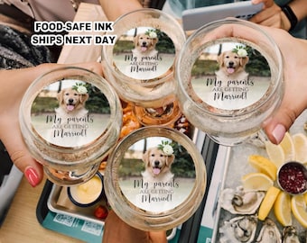 Personalized Dog Face Edible Drink Toppers, My Parents are Getting Married Wedding Cocktail Toppers, Pet Wedding Decorations, Dog Engagement