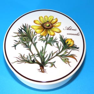 Vintage Villeroy & Boch Botanica Jar: Adonis Vernalis Floral Porcelain