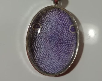 Snake Shed Head Necklace Eyes Intact 20" Cord Included #1