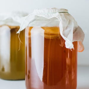 Kombucha / Jun SCOBY Hybrid Mother Culture Starter Culture - Starterkultur