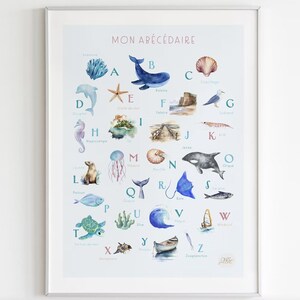 Póster ABC del océano