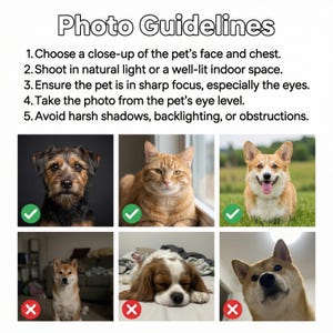 May include: An instructional graphic titled Photo Guidelines with five numbered steps for pet photography. It displays six pet photos: three marked with green checkmarks for correct examples and three with red X marks for incorrect examples.