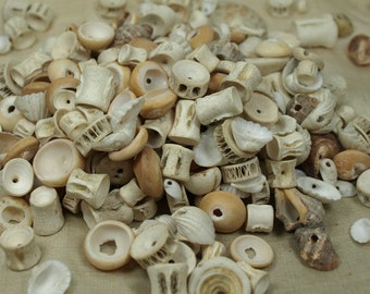 Shell Grab Bag! Various Shells from Ghana, Ivory Coast, Mali and Gambia! NTR809