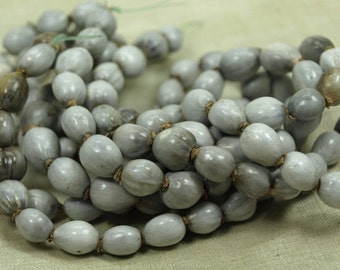 15" Strand of Job's Tears Beads