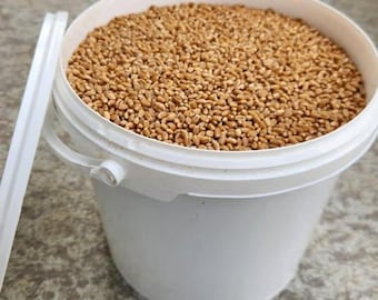 Harte rote Frühlingsweizenbeeren (10lb) - Frisches Mahlen Sie Ihr Mehl zum Backen