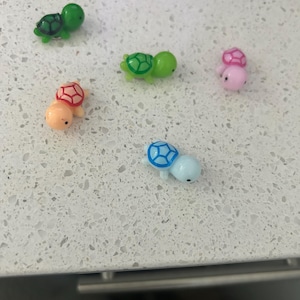 Turtle magnets