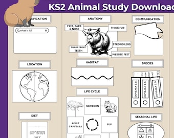 Capybara KS2 Science Pack | Printable Unit Study Lapbook