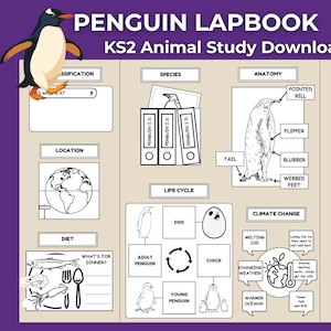 Penguin Lapbook KS2 | Animal Study | Printable Lapbook | Easy-Read Factsheets | Digital Download