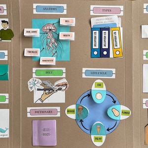 Maneter KS2 NO-paket | Utskrivbar enhetsstudiebok