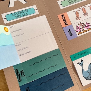 Ocean Creatures Study Lapbook Download | Printable | Creative Activity ...