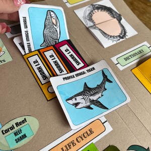 Puede incluir: Un gráfico educativo colorido sobre tiburones con imágenes de un tiburón ballena, un tiburón tigre y dientes de tiburón. El gráfico incluye etiquetas para "Imagen de perfil", "ID de tiburón", "Ciclo de vida", "Dientes", "Arrecife de coral" y "Diccionario".