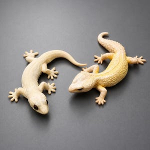 Op de afbeelding: Twee hagedisbeeldjes zijn op een plat oppervlak geplaatst. De hagedis aan de linkerkant is glad en crèmekleurig met donkere ogen. De hagedis aan de rechterkant heeft een gestructureerd, bobbelig oppervlak met een lichtgeel en wit verloop.