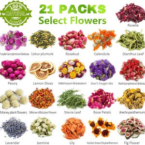 100% Natural Dried Herbs kit for Candle soap Making, 21 Pack Dried Flowers, Bulk Dried Flowers Include Lavender, Resin Jewelry Making