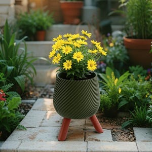 Jardinière d&#39;oliviers