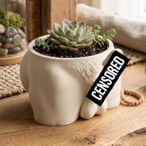 Exclusive Cachepot: Handcrafted Bio-Plastic 18+