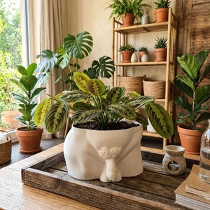 Cache-pot exclusif : bioplastique fabriqué à la main