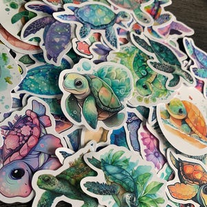 Zeeschildpadden | Set van 5 | Mystery Pack waterdichte stickers