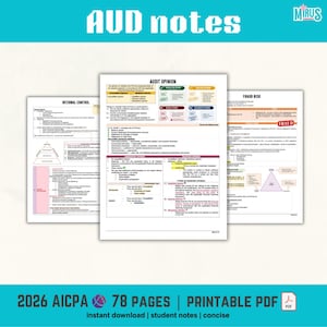 Op de afbeelding: Een set van drie studiebladen getiteld AUD notes, met gedetailleerde tabellen en tekst over interne controle, controleverklaring en frauderisico. De documenten bevatten diagrammen, lijsten en kleurgecodeerde secties voor boekhoudkundige doeleinden.