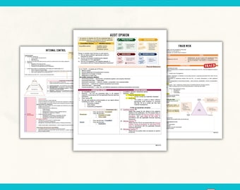 AUD CPA Exam Student Notes | Printable pdf | 2026 AICPA Evolution | Summary Notes