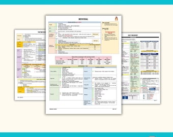 REG CPA Prüfungsnotizen | Druckbare pdf | 2026 AICPA Evolution | Zusammenfassende Notizen