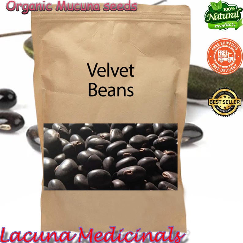 Mucuna Pruriens frö, sammetsböna, vildskördad, svartböna, högpotent naturligt tillskott bild 6
