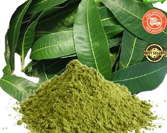 Polvo de hoja de mango secado al aire natural