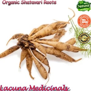 May include: A collection of organic Shatavari roots, with a tan hue and dark speckles, is presented on a white backdrop. The image features text that says "Organic Shatavari Roots" and "Lacuna Medicinals".