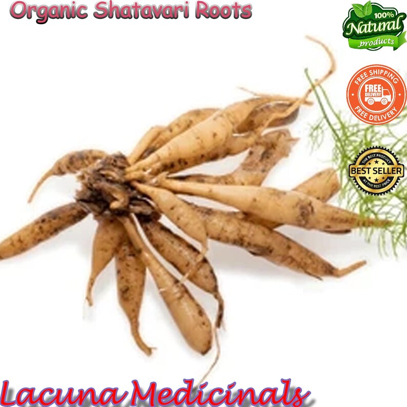 May include: A collection of organic Shatavari roots, with a tan hue and dark speckles, is presented on a white backdrop. The image features text that says "Organic Shatavari Roots" and "Lacuna Medicinals".