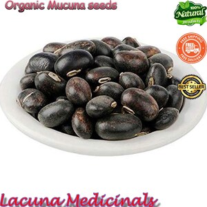 Mucuna Pruriens frö, sammetsböna, vildskördad, svartböna, högpotent naturligt tillskott bild 3