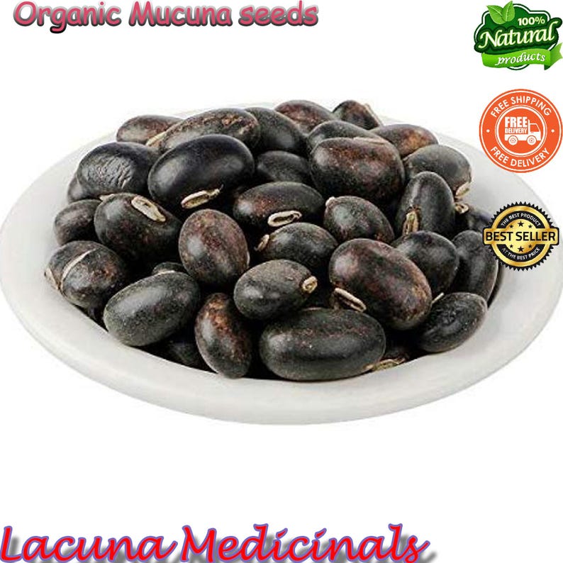 Mucuna Pruriens frö, sammetsböna, vildskördad, svartböna, högpotent naturligt tillskott bild 3