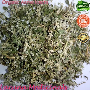 Könnte beinhalten: Nahaufnahme von getrockneten Bio-Aerva lanata Kräutern. Das Bild zeigt einen Haufen grüner Blätter und kleiner weißer Blüten. Der Text "Organic Aerva lanata" steht oben und "Lacuna Medicinals" unten. Es gibt auch die Etiketten "100% Natural products", "Free Shipping" und "Best Seller".