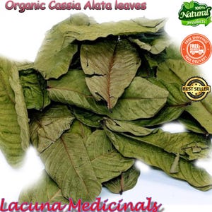 Cassia Alata, Freshly air dehydrate, 2 Kg Bulk Senna alata, 100% Organic candle bush Leaves Powder, King of the Forest, Ringworm