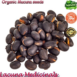 Mucuna Pruriens frö, sammetsböna, vildskördad, svartböna, högpotent naturligt tillskott bild 5