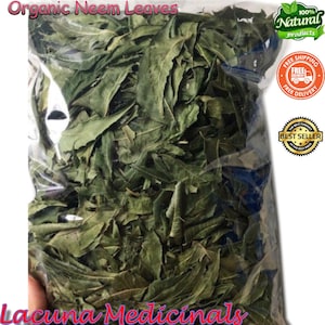 Organic Neem Leaves, Bulk Herbs, Natural Azadirachta Indica Leaf, Freshly Air Dry To Order