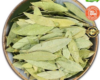 Semi Di Cassia Alata, Cespuglio Di Candela, Arbusto Della Tigna - Foto 6