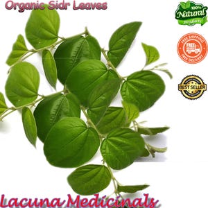 Organic Sidr Leaves, Natural Dried Lote Leaves