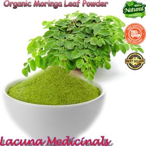 Moringa Leaf Powder, Bulk Organic Moringa Leaf Powder, Natural Air Dried to Order, Drumstick leaf Powder, Moringa Oleifera Leaf Powder