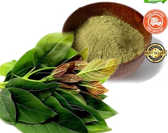 Organic Avocado Leaf Powder: Air Dried Herbal Tea