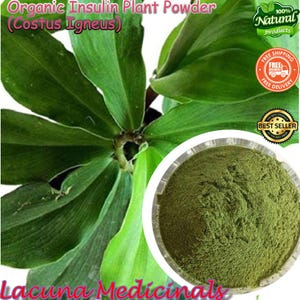 Insulin Plant Powder, Organic Insulin Plant Leaf, Canereed Igneus, Costus Speciosus Freshly Pick Air Dry To Order, BULK