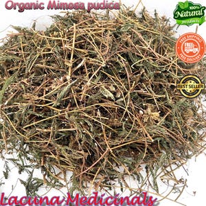 Organic Mimosa Pudica, Mimosa Pudica Powder, Mimosa Pudica Seeds Powder, Freshly Dehydrate To Orders, Mimosa Pudica Herb Tea