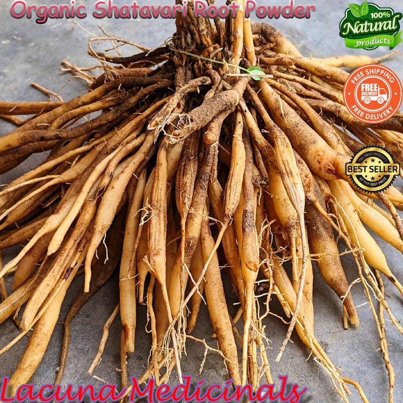 May include: A close-up of organic Shatavari root powder, showing numerous light brown roots. The image includes text that reads "Organic Shatavari Root Powder" and "Lacuna Medicinals."