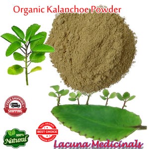 25 Grams Kalanchoe pinnata Powder, Miracle Leaf powder, Leaf of Life Powder, Miracle Leaf powder, Jamaican Leaf Of Life