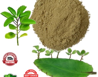25 Gramm Bio-Kalanchoe Pinnata-Pulver: Miracle Leaf
