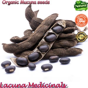 Mucuna Pruriens Seed, Velvet Bean, Wild harvested, Black bean, High Potency Natural Supplement