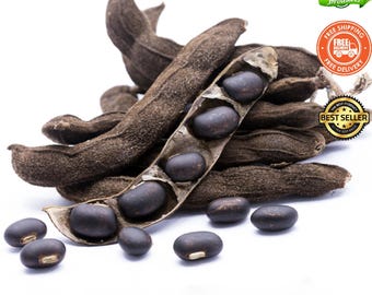 Nasiona Mucuna Pruriens, Fasola Aksamitna, Dziko Zbierana, Czarna Fasola, Naturalny Suplement o Wysokiej Mocy