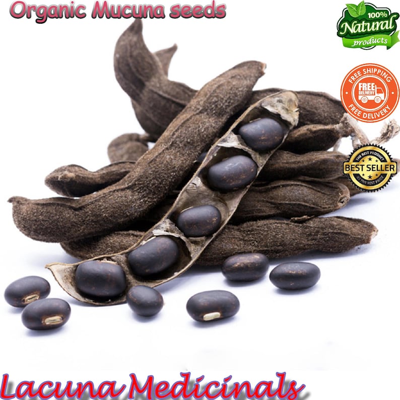 Mucuna Pruriens Seed, Velvet Bean, Wild harvested, Black bean, High Potency Natural Supplement